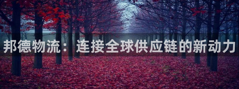 多多28官网入口app