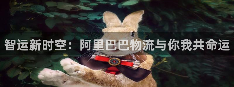多多28注册流程：智运新时空：阿里巴