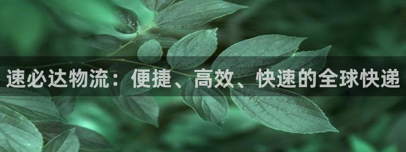 多多28加拿大预测：速必达物流：便捷