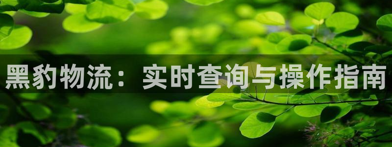 多多28官网平台：黑豹物流：实时查询
