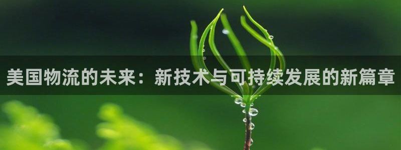 多多28推广链接是多少钱一个：美国物