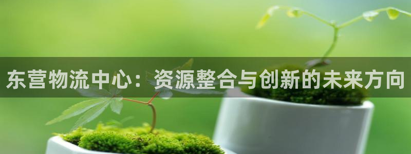 多多28官网注册：东营物流中心：资源