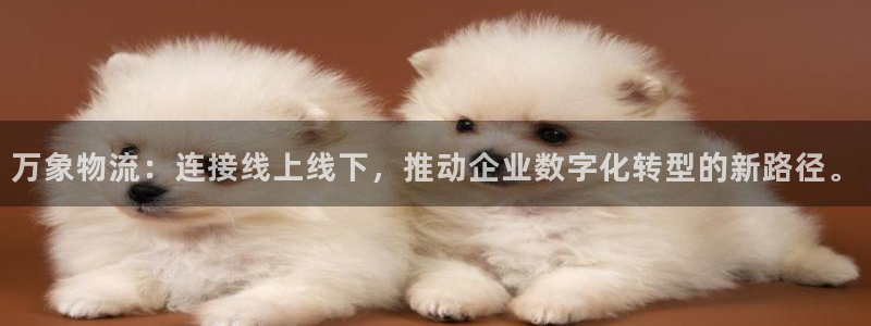 多多28官网版所有版本：万象物流：连