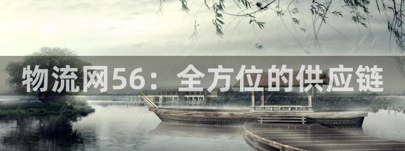 多多28推广链接是多少钱一个：物流网