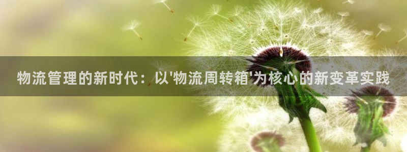 多多28充值不处理会怎么样：物流管理