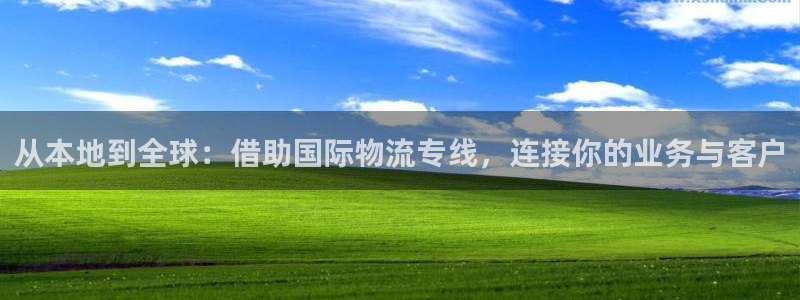多多28加拿大28：从本地到全球：借