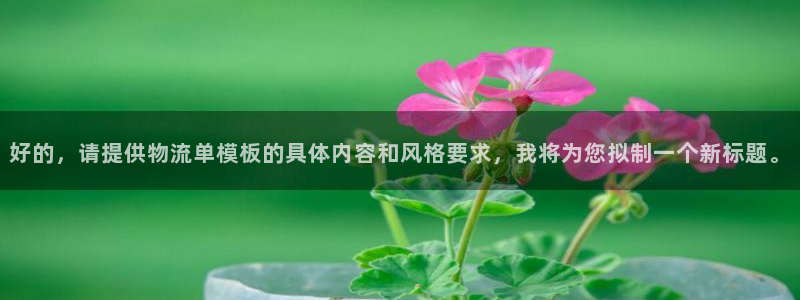 多多28ccm游戏：好的，请提供物流