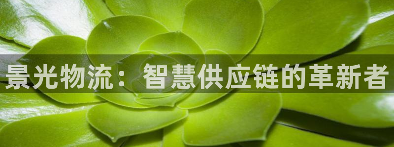 多多28加拿大在线预测：景光物流：智