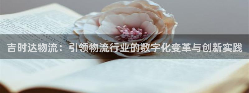 多多28注册地址：吉时达物流：引领物