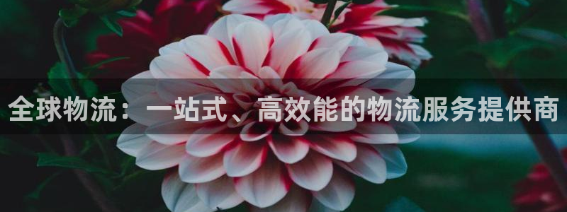 多多28软件堵什么反什么：全球物流：