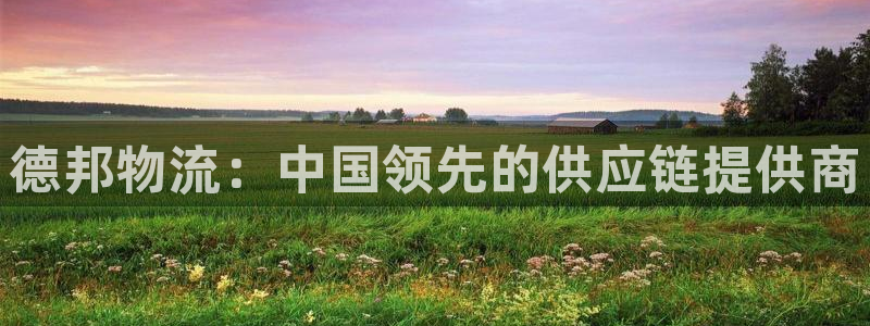 多多28注册登录链接流程：德邦物流：中国领先的供应链提供商