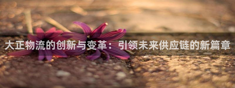 多多28充值不到账什么原因：大正物流
