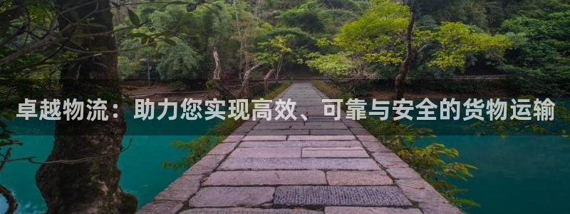 多多28是正规平台吗：卓越物流：助力