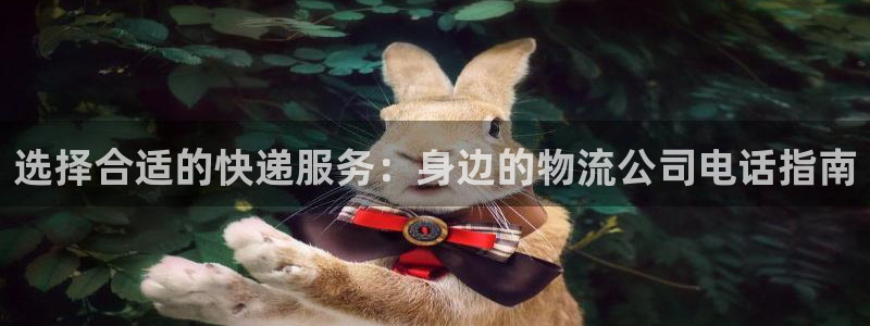 多多28娱乐官网网页：选择合适的快递
