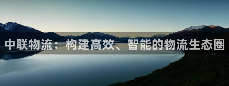 多多28怎么下载不了:中联物流:构建