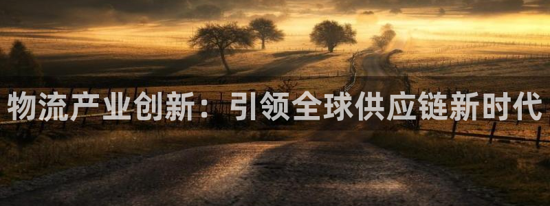 多多28官网入口正版：物流产业创新：