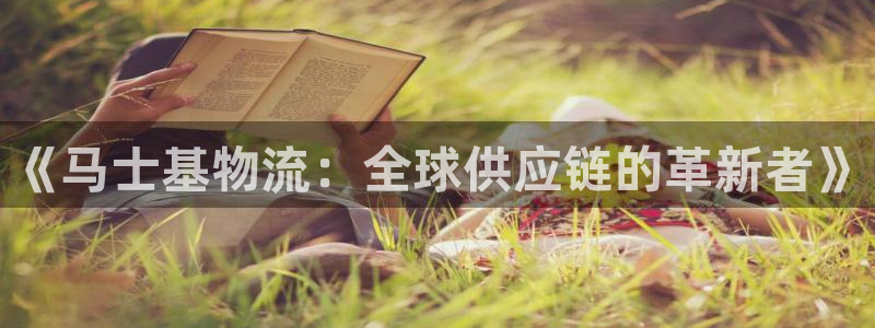 多多28加拿大技巧:《马士基物流:全