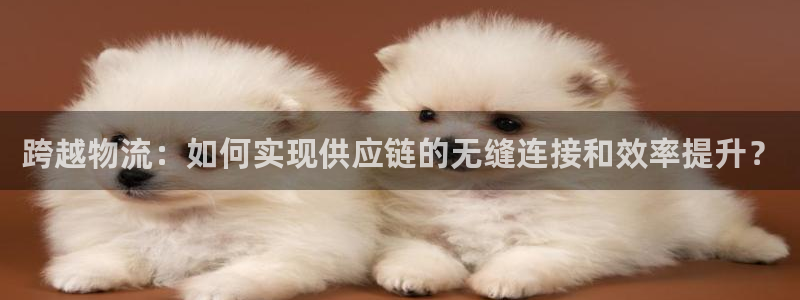 多多28网赌有什么风险：跨越物流：如何实现供应链的无缝连接和