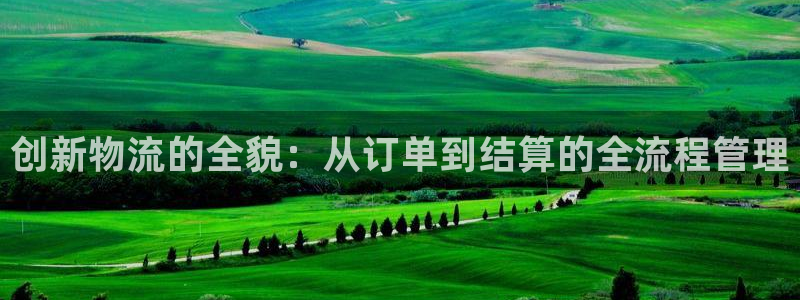 多多28官方网站是多少：创新物流的全