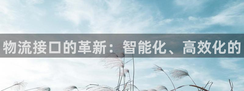 多多28官方版正版：物流接口的革新：智能化、高效化的