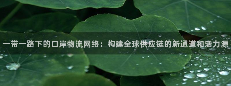 多多28黑吗:一带一路下的口岸物流网