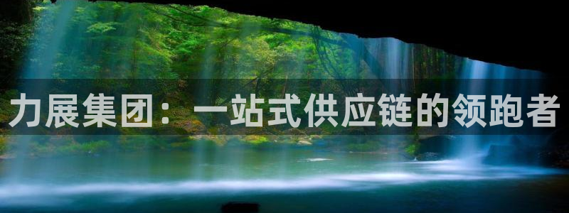 多多28大神预测：力展集团：一站式供