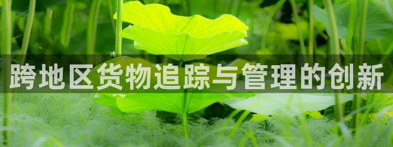 多多28官网下载多少钱:跨地区货物追