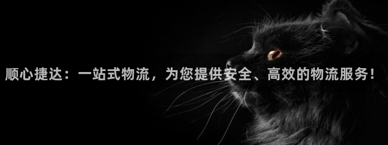 多多28的自行车