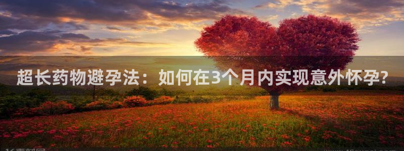 多多28在线预测官网